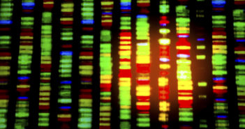 African Ancestry Affects Gene Expression
