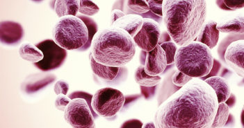 Drug Combination May Reduce Risk of Leukemia Relapse