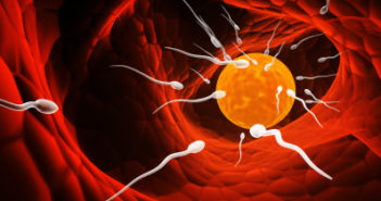Uncovering the Dynamics of Gene Expression and Epigenetic Signatures in the Stem Cells of Sperm