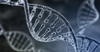 Mutation Unique to Childhood Kidney Cancer Discovered