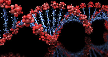 Chromatin Organizes Itself Into 3D ‘Forests’ in Single Cells