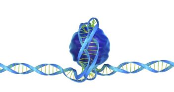 Balancing Gene Expression to Prevent Disease
