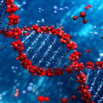 New Genetic Risk Factors for Arrhythmia Discovered