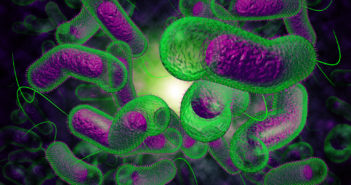 ‘Cluster Bomb’ Toxin from Cholera Shuts Down Inflammatory Response While Attacking Cells