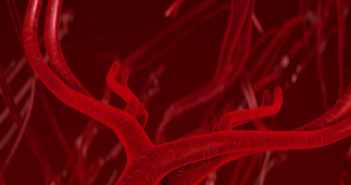 Potential Target for Treating Severe Malaria Identified