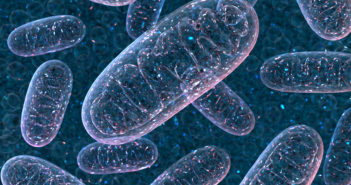 Mitochondrial Metabolism Shows Promise as Target for Cancer Therapy