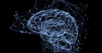 Damaged Brain Circuit Linked to Amnesia
