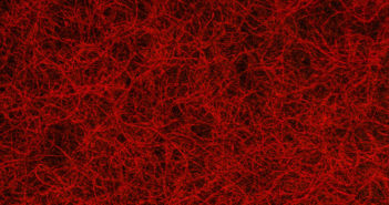Sugar-Coated Nanomaterial Excels at Promoting Bone Growth