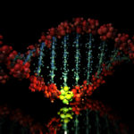 Secondary Structures in DNA are Associated With Cancer