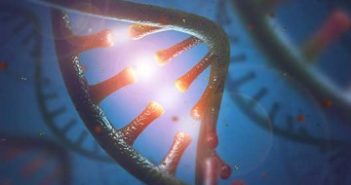 How Non-Coding RNA Regulates Genes in the Developing Brain