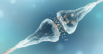 Stem Cell Transplants Improve on Current MS Treatments