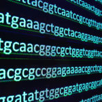 Epigenetic ‘Age’ Predicts Cognitive Function