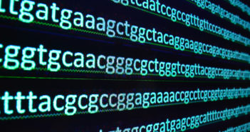 Identifying Mechanisms of Methylation in Stem Cells