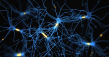 New Genetic Mutations Linked to Neurodevelopmental Disease