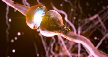 Scientists Identify Function of Alzheimer’s Protein