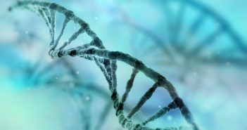Understanding the Epigenetics of Sex Determination dna strand