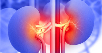 Antibodies May Predict Transplant Rejection Risk 3d render of Human kidney