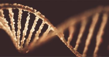 Scientists Identify New Therapeutic Target in Diabetes