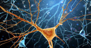 Mapping Dopamine Neuron Projections