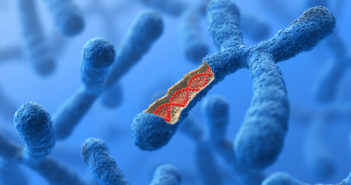 Disrupting Gene Transcription Elongation to Treat Cancer