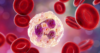 How Neutrophils Drive DNA Damage Linked to Cancer