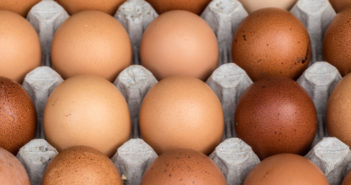 Eating Eggs and Cholesterol Linked to Heart Disease and Death Risk