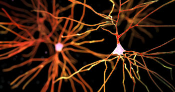 Uncovering the Degenerative Basis of Parkinson’s Disease