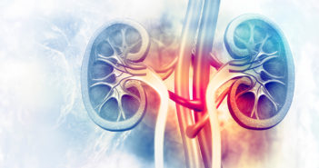 Lakeside Discovery Supports Northwestern Lab to Treat Polycystic Kidney Disease