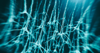 Protein Quality Control Falters in Neurodegenerative Disease