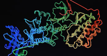 New Metabolic Function of Protein Discovered