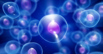 Cell Polarity Linked to Cell Adhesion