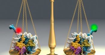 Pediatric leukemia ‘super drug’ could be developed in the coming years