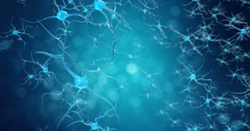 ALS Drug Grant to Spur Drug Discovery at Northwestern