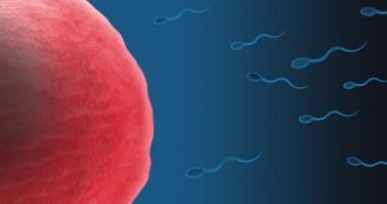 Transgender youth faced with tough decision to freeze sperm or eggs