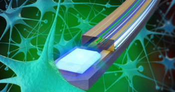 Northwestern Scientists Develop New Probes to Investigate the Brain