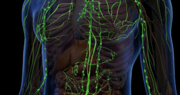 Lymphatic Capillaries Help Regulate Stem Cells for Tissue Regeneration