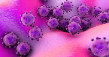 No Coronavirus Transmission in Womb, Study Says