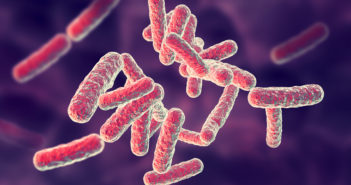 Gallbladder May Promote Transmission of Common Hospital-Acquired Infection