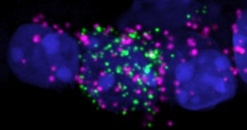 Reassessing How Light Impacts Behavior