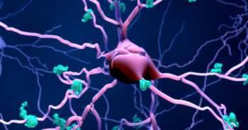 Investigating the Biology of Aging