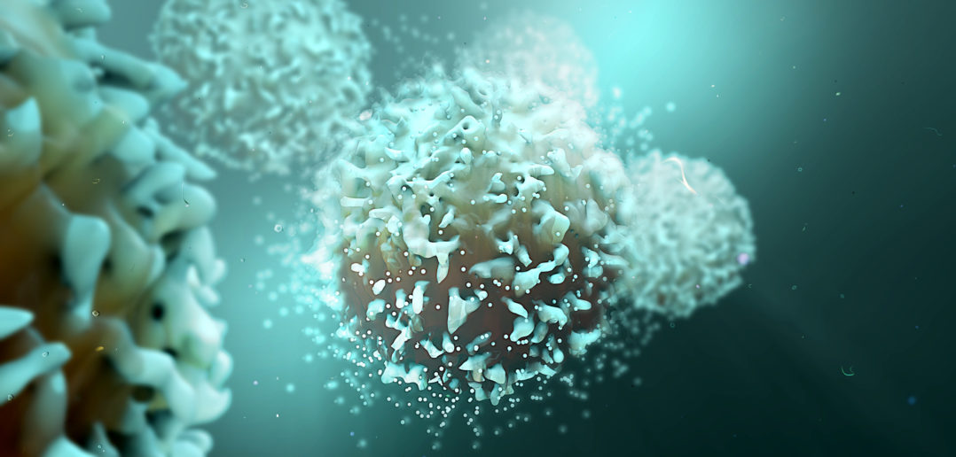 3d illustration T-Cells