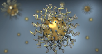 Translational Science: Glioblastoma
